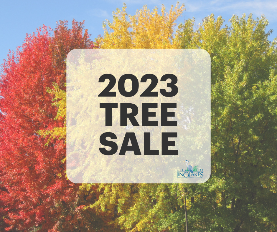 Photo of colorful tree leaves with text: 2023 TREE SALE
