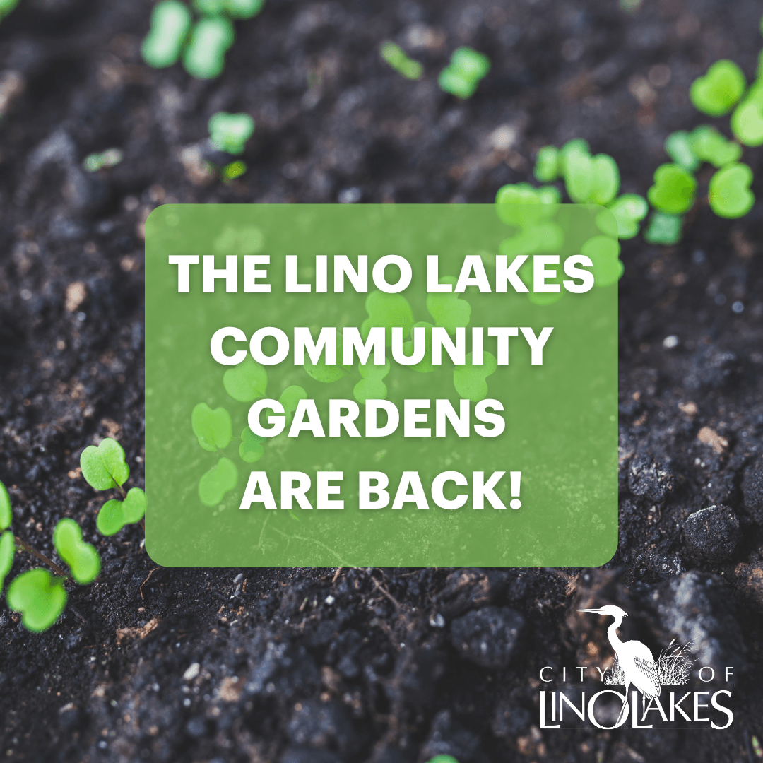 Dirt and plant buds with text: The Lino Lakes Community Gardens are Back! 