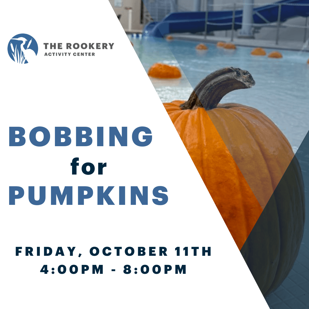 Bobbing for Pumpkins News Flash Image 2024