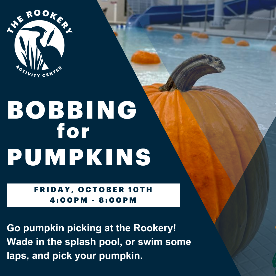 Photo of a pumpkin in the pool with text: Bobbing for Pumpkins