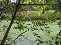 Forestry-Natural Resources